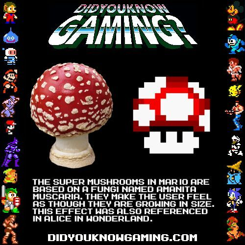 A poster from the video game enthusiast "Did You Know Gaming?", showing a comparison of Super Mario Brothers' power-up mushroom against a real mushroom, Amanita muscaria, which inspired the designs of the Mario mushrooms. The image also contains the textual description below. The super mushrooms in Mario are based on a fungi named Amanita muscaria. They make the user feel as though they are growing in size. This effect was also referenced in Alice in Wonderland.