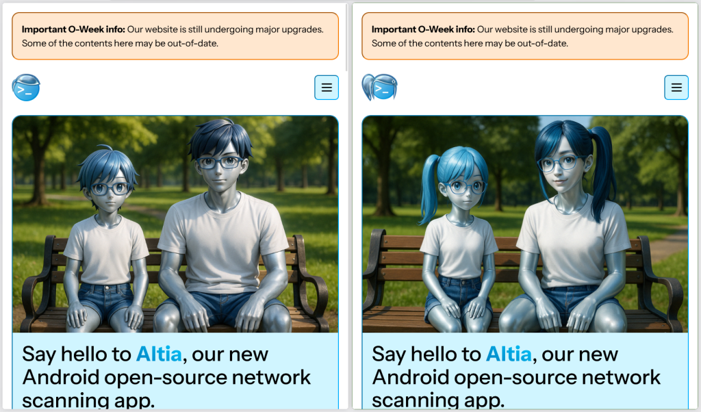 A preview of two variants of the reinhart1010.id website served from different servers. The navigation icon and the front image subtly changes as the user may be served with a different server.